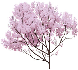 Delicate hand-drawn pink foliage tree with graceful branching silhouette. Ideal for landscape illustration, spring scenes, or architectural visualization.