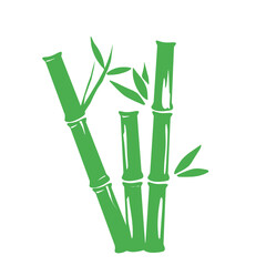 Bamboo Vector Illustration 