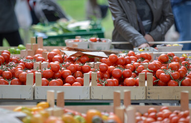 Einkaufen auf dem Wochenmarkt: Blick auf Gemüsekisten mit unterschiedliche Sorten von Tomaten auf...
