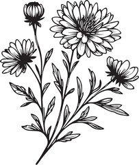Cute kids coloring pages, easy aster drawing, aster flower black and white illustration, aster flower outline, aster cosmos flower vector art, simple flower drawing, unique flower coloring page