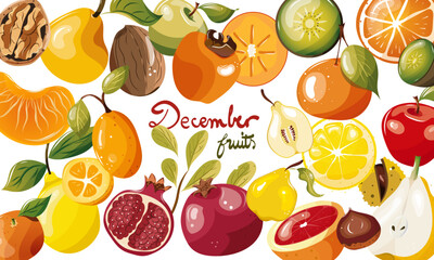 Ensemble de fruits de saison du mois de décembre. Illustration vectorielle. Graphic design éléments. Fruits pour clipart ou pour illustrations. 