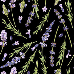 Lavender flower seamless pattern. Watercolor botanical illustration of purple herb. Hand drawn floral ornament on isolated background. For fabric and wrapping paper. Painting of provence plant