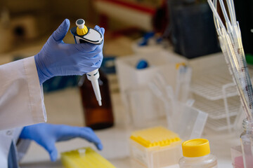 scientist working in laboratory