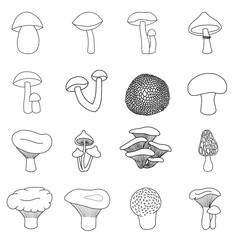 Set of edible mushrooms in doodle style. Porcini mushroom, boletus, chanterelle mushroom, camelina mushroom, russula, morel, truffle, milk mushroom, honey mushroom, champignon, puffball, moss mushroom