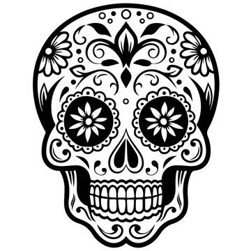 sugar skull vector illustration 