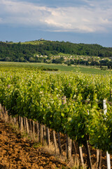 Naklejka premium Traditional wine cellars (Gombos-hegyi pincesor) in Hercegkut, UNESCO site, Great Plain, North Hungary