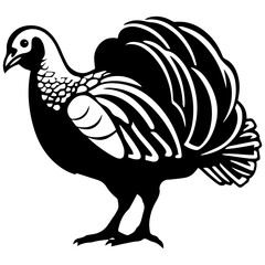 Silhouette turkey on white background. Farm animals collection. Icon