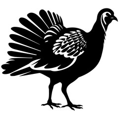 Silhouette turkey on white background. Farm animals collection. Icon