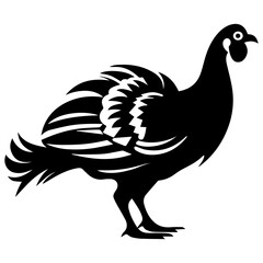 Silhouette turkey on white background. Farm animals collection. Icon