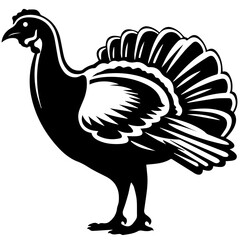 Silhouette turkey on white background. Farm animals collection. Icon