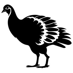 Silhouette turkey on white background. Farm animals collection. Icon