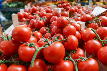 Einkaufen auf dem Wochenmarkt: Blick auf Gemüsekisten mit leckeren und roten Tomaten an einem Verkaufsstand draußen mit Menschen im verschwommenen Hintergrund, selektiver Fokus, Copyspace