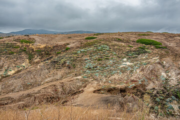 Santa Cruz Island, CA, USA - September 14, 2023: Landscape of Potato Harbor trail going up hill at split with Cavern Point trail under gray cloudscape. Green patches on brown weed