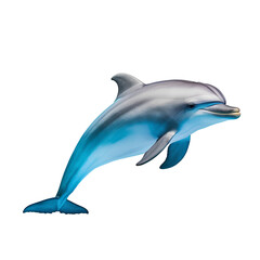 dolphin On a transparent background PNG