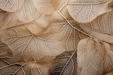 Close up of Fiber structure of dry leaves texture background. Nature's Tapestry: Close-Up of Intricate Fiber Structure in Dry Leaves Generative AI