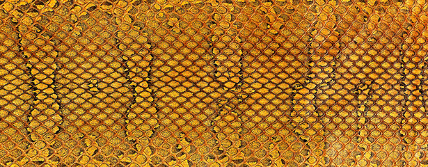 Reptile leather - snake skin texture, as background. Brown snake pattern imitation.