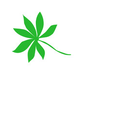 Leaf Cassava Vector Illustration 