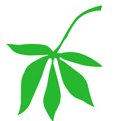 Leaf Cassava Vector Illustration 