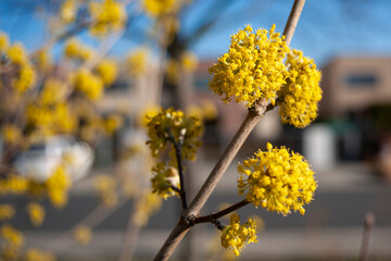 Spring on nature