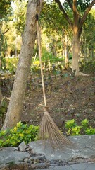 garden broom used to clean city parks made of wood and bamboo