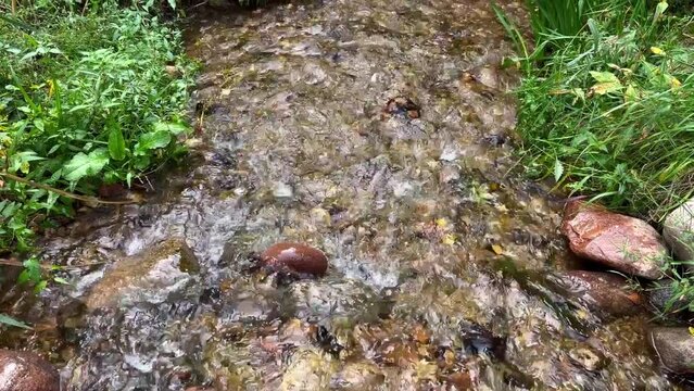 Small mountain river with cry stal claer water. Clear steam running through stone boulders. High quality FullHD footage