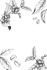 Coffee line art line drawing Hand-drawn coffee tree branches. illustration for coffee shops, cafes, and restaurants set frame