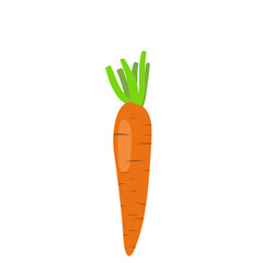 Carrot Vegetable Vector Illustration 