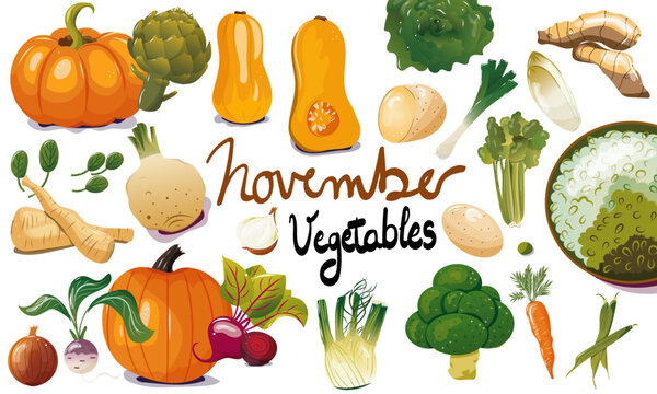 Ensemble de l&eacute;gumes de saison du mois de novembre. Illustration vectorielle. Graphic design &eacute;l&eacute;ments. L&eacute;gumes pour clipart ou pour illustrations. 