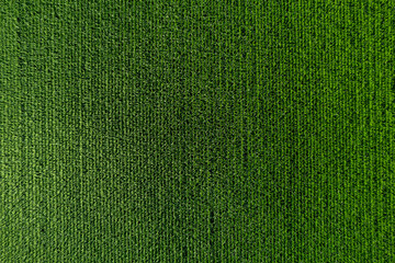 aerial photo shot of mixed cultivated and harvested rural plain land