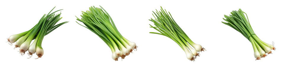 Green onions Scallions  Vegetable Hyperrealistic Highly Detailed Isolated On Plain White Background - obrazy, fototapety, plakaty