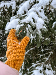 a woman's hand in an orange knitted mitten holds a prickly branch of a Christmas tree in the snow. winter