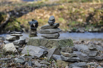 stones on the forrest
