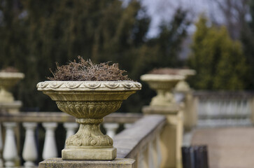 fountain in the garden