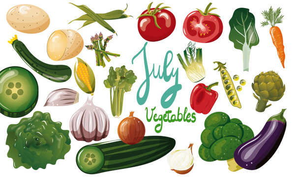 Ensemble de l&eacute;gumes de saison du mois de juillet. Illustration vectorielle. Graphic design &eacute;l&eacute;ments. L&eacute;gumes pour clipart ou pour illustrations. 