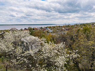 View of the village near the Volga river in spring. Flowering trees in the foreground