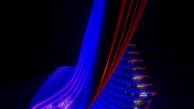 purple spaghetti zone