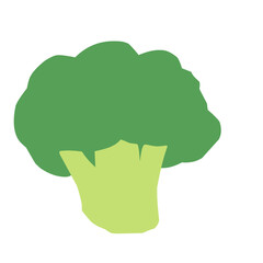 Broccoli Vector Illustration 