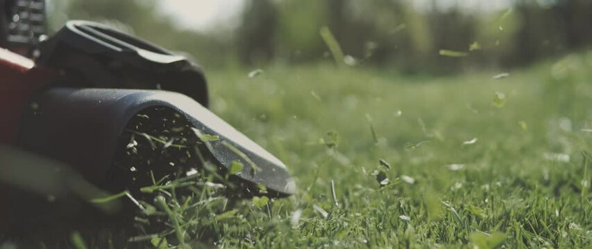 Unknown man cutting green grass using a petrol lawn mower in a garden. Close-up and slow-motion shot