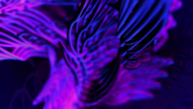 purple spaghetti zone