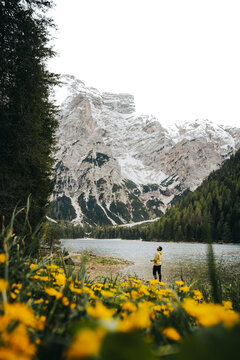 Chico con sudadera amarilla  mirando las monta&ntilde;as altas con nieve en Dolomitas Alpes Italianos , en un lago con flores amarillas.