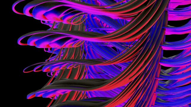 purple spaghetti zone