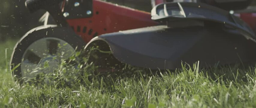 Low angel view from side of a groundskeeper is cutting grass in yard by modern lawnmower, side view from ground