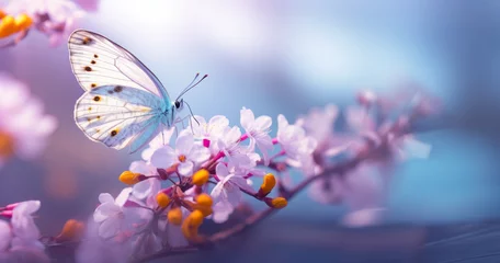 Fotobehang Beautiful white butterfly on white flower buds on a soft blurred blue background spring or summer in nature. Gentle romantic dreamy artistic image, beautiful round bokeh. © MD Media