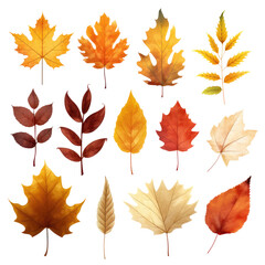 Set of autumn leaves abstract color on transparent background.