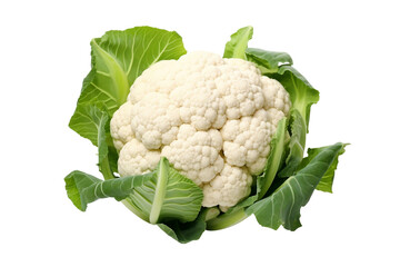 Beautiful Cauliflower Head with White Florets 3D PNG Icon.