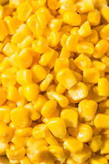 Hot Steamed Organic Yellow Corn Kernals