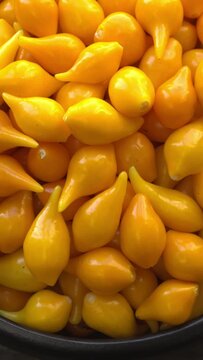 Fresh homegrown Biquinho Yellow. Brazilian mild peppers in bowl. Table spin. Vertical video.