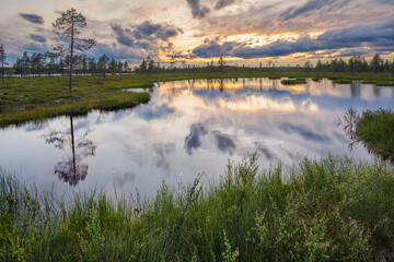 Fototapeta na wymiar Sunset over a taiga landscape in the vicinity of Särna, central Sweden, with lakes, swamps and boreal forest 