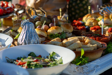 A table full of various dishes, small bites, outdoor party catering spread.