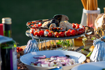 A table full of various dishes, small bites, outdoor party catering spread.